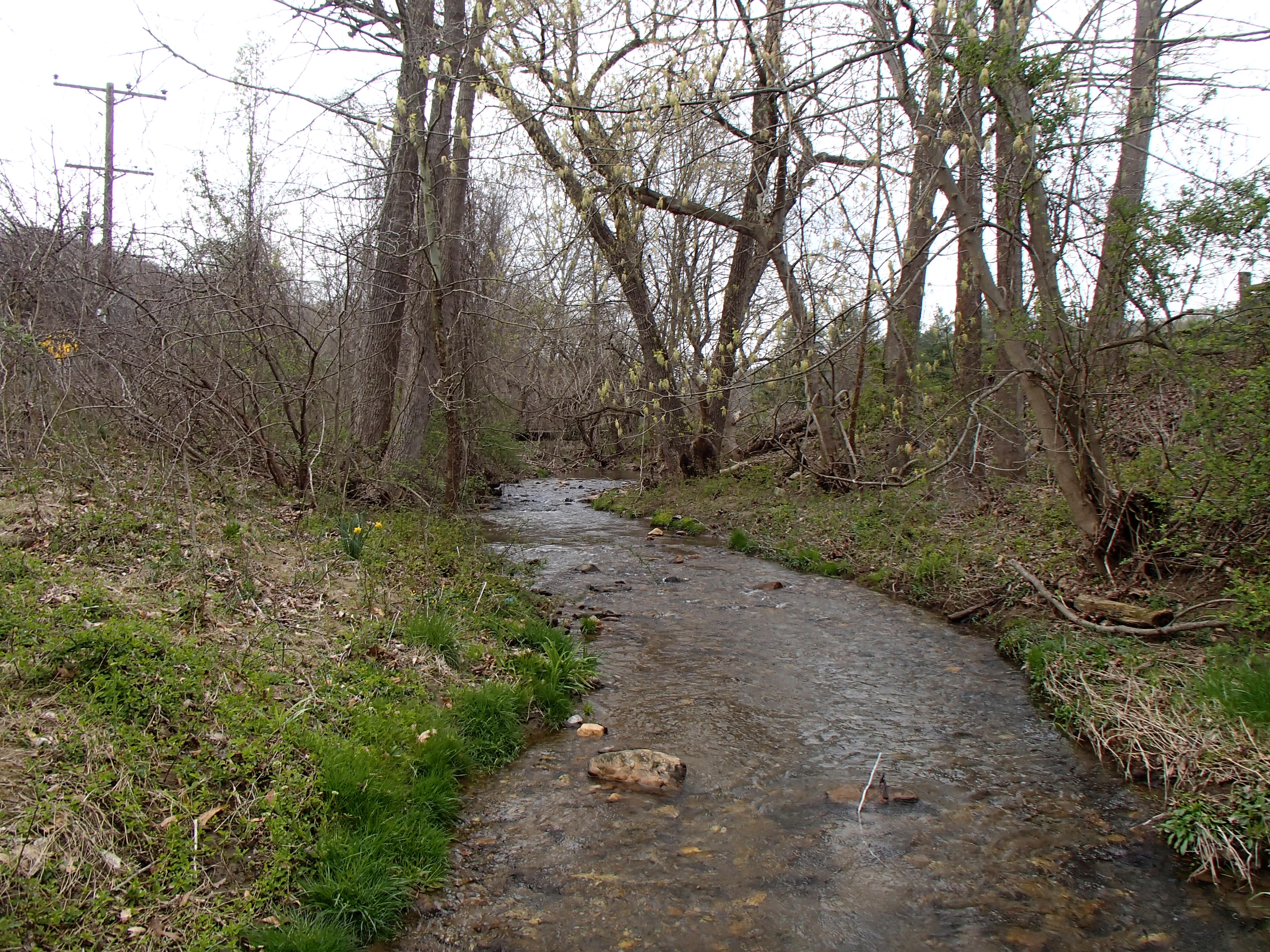 Field photo showing stream conditions at site LOCH-209-R-2016_midpoint looking upstream